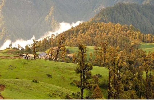 kedarnath wildlife sanctuary